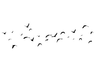 Flying birds silhouette flock. hand drawing. Not AI. Vector illustration.