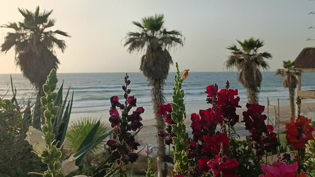 Palm trees and tropical flowers, blue sky, Summer day, Landscape view of palm trees and teras, Exotic Palms and blue sky scenery	
