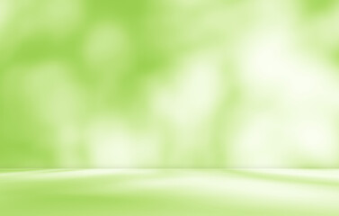 Empty green room studio with sunlight effect shadow of leaves. Minimal background for product presentation. Summer spring backdrop. Cosmetic and beauty products display room.