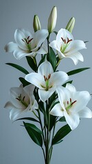 Fototapeta premium Elegant white lilies bouquet high resolution wallpaper