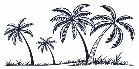 Fototapeta premium Black and White Monochrome Hand-drawn Palm Trees Sketch Beach Line Art Summer Island Vacation Decorative Graphic Element