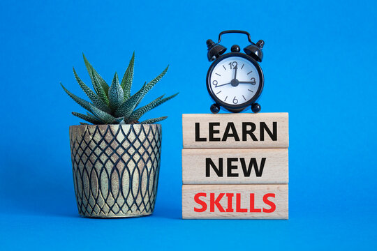 Learn new skills symbol. Concept words Learn new skills on wooden blocks. Beautiful blue background with succulent plant and alarm clock. Business and Learn new skills concept. Copy space.