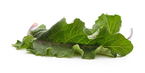 Fresh burdock leaves.