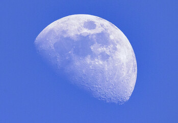 Mond