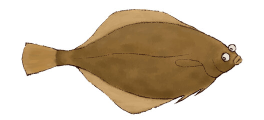 カレイのイラスト　色鉛筆