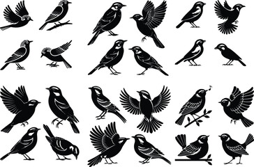 Flying and Perched Nightingale Silhouettes Set Nightingale Bird Silhouette Vector Collection