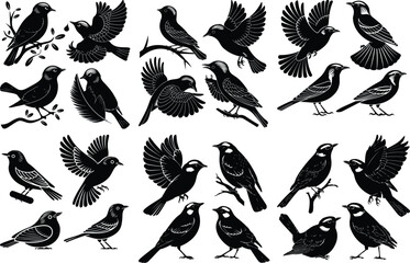 Flying and Perched Nightingale Silhouettes Set Nightingale Bird Silhouette Vector Collection