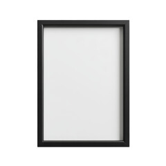 Simple and elegant rectangular black frame with a large plain white matte