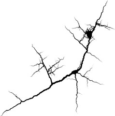 Rustic cracked texture with many cracks and scratches. Abstract background. PNG graphic illustration with transparent background.