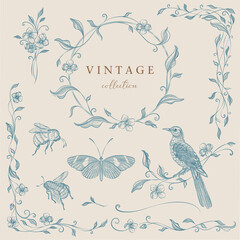 Floral clipart engraving frames. botanical wreaths and borders for wedding vintage invitations. Line art hand drawing, Victorian illustration