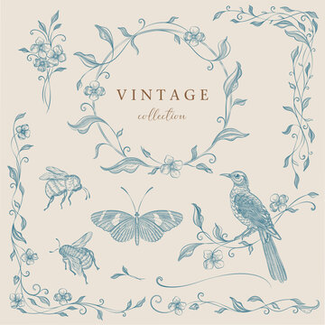 Floral clipart engraving frames. botanical wreaths and borders for wedding vintage invitations. Line art hand drawing, Victorian illustration