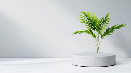 Obraz premium Minimalist, modern, light gray podium with vibrant green palm leaves. Empty display platform for product presentation