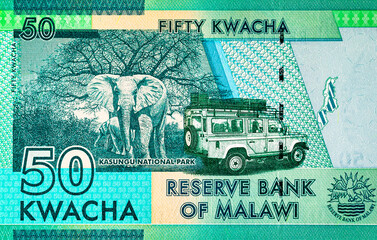 Banknote of 50 kwacha of Malawi with the image of Kasungu national park, fragment for design. Money...