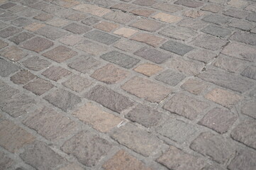 Historic brick building facade with white framed windows and bare tree branches. Classic European architecture in muted winter light creates a calm, atmospheric urban scene.