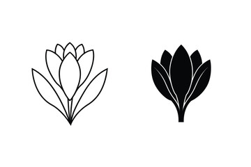 Vector Illustration Of Crocus Flowers In Outline And Silhouette Style On White