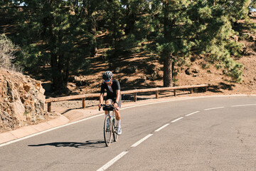 A cyclist enjoys a scenic ride through a sun-drenched pine forest. The winding road and lush...
