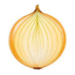 A halved yellow onion reveals its layered structure against a black background showcasing its vibrant color and intricate detail.