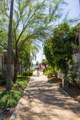 A footpath at Arcadia City Hall with lush green trees and colorful flowers in Arcadia California USA