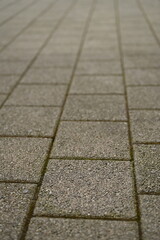 Obraz premium light gray paving stones arranged in a uniform pattern. Minimalist urban surface with clean geometric lines, suitable for backgrounds and architectural themes.