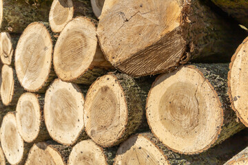 Close-up of stacked tree trunks with visible annual rings and bark. Ideal for themes like forestry,...