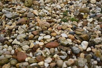 Small Colorful Pebbles Texture Background natural gravel surface with small multicolored pebbles of different shapes and sizes The stones create an organic texture ideal for backgrounds design element