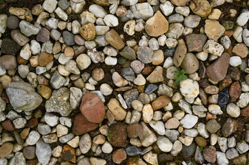 Small Colorful Pebbles Texture Background natural gravel surface with small multicolored pebbles of different shapes and sizes The stones create an organic texture ideal for backgrounds design element