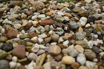 Pebble stone texture background with small colorful rocks and gravel