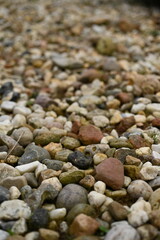 Pebble stone texture background with small colorful rocks and gravel