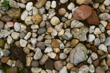 Pebble stone texture background with small colorful rocks and gravel