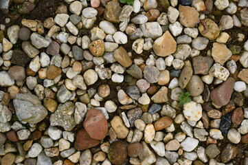 Pebble stone texture background with small colorful rocks and gravel