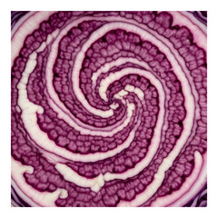 Obraz premium Swirling red cabbage pattern resembling a spiral design