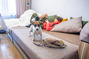 boy plays a game next to a jack russell terrier on a sofa in the room