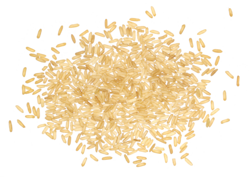 Integral, uncooked long grain brown rice pile isolated on white background, top view	