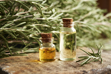 Two bottles of rosemary essential oil with fresh plant