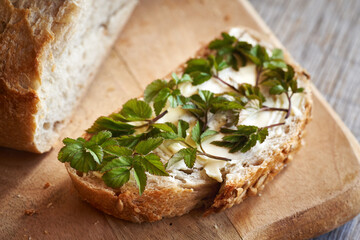 Fresh young ground elder leaves on a slice of sourdough bread