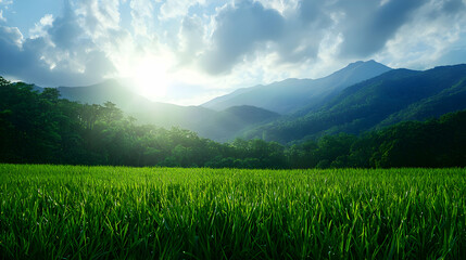 Fototapeta premium Vibrant Green Field Under Bright Sunlight And Lush Mountains With Clear Blue Sky