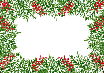 Merry Christmas greeting card frame template white space branches of thuja ilex holly berries. Template design, happy new year.