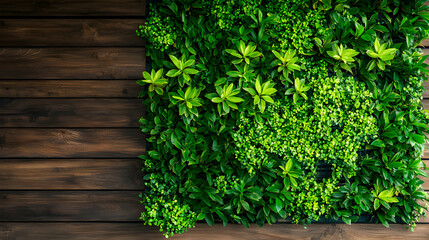 Vibrant Green Plants Growing on a Rustic Dark Brown Wooden Wall Texture