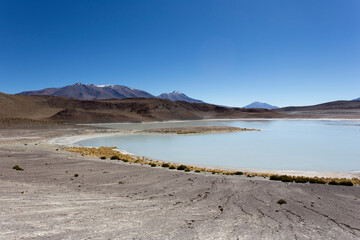 View of flamingos that gather in Uyuni lagoons