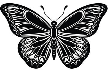 butterfly vector illustration on a white background.