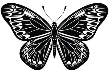 butterfly vector illustration on a white background.