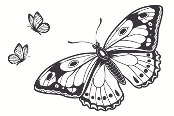 butterfly vector illustration on a white background.