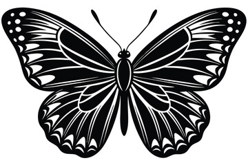 butterfly vector illustration on a white background.