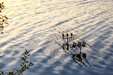 Carpfishing session at the Lake.Carp fishing rods standing on special tripods.Scenic landscape...