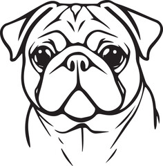 Pug dog. Hand drawn vector illustration