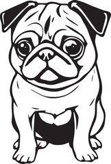 Pug dog. Hand drawn vector illustration