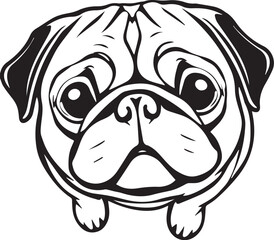 Pug dog. Hand drawn vector illustration