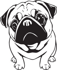 Pug dog. Hand drawn vector illustration