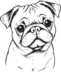 Pug dog. Hand drawn vector illustration