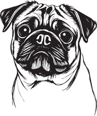 Pug dog. Hand drawn vector illustration